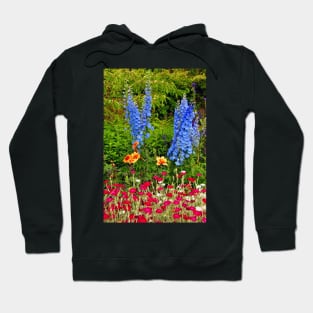 Blue Delphiniums Summer Flowers Hoodie